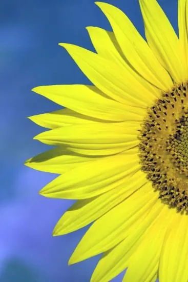  Principales definiciones para entender la Inversión Socialmente Responsable