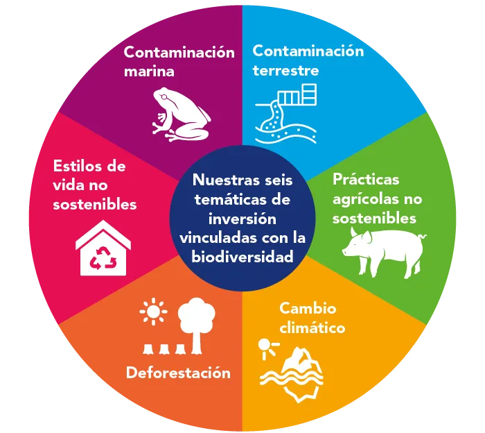 biodiversidad hermes