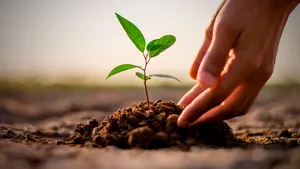 Nordea Asset Management reconocida como "Mejor gestora de activos" en los premios ESG & Sustainability Champions Awards 2026 de MainStreet Partners