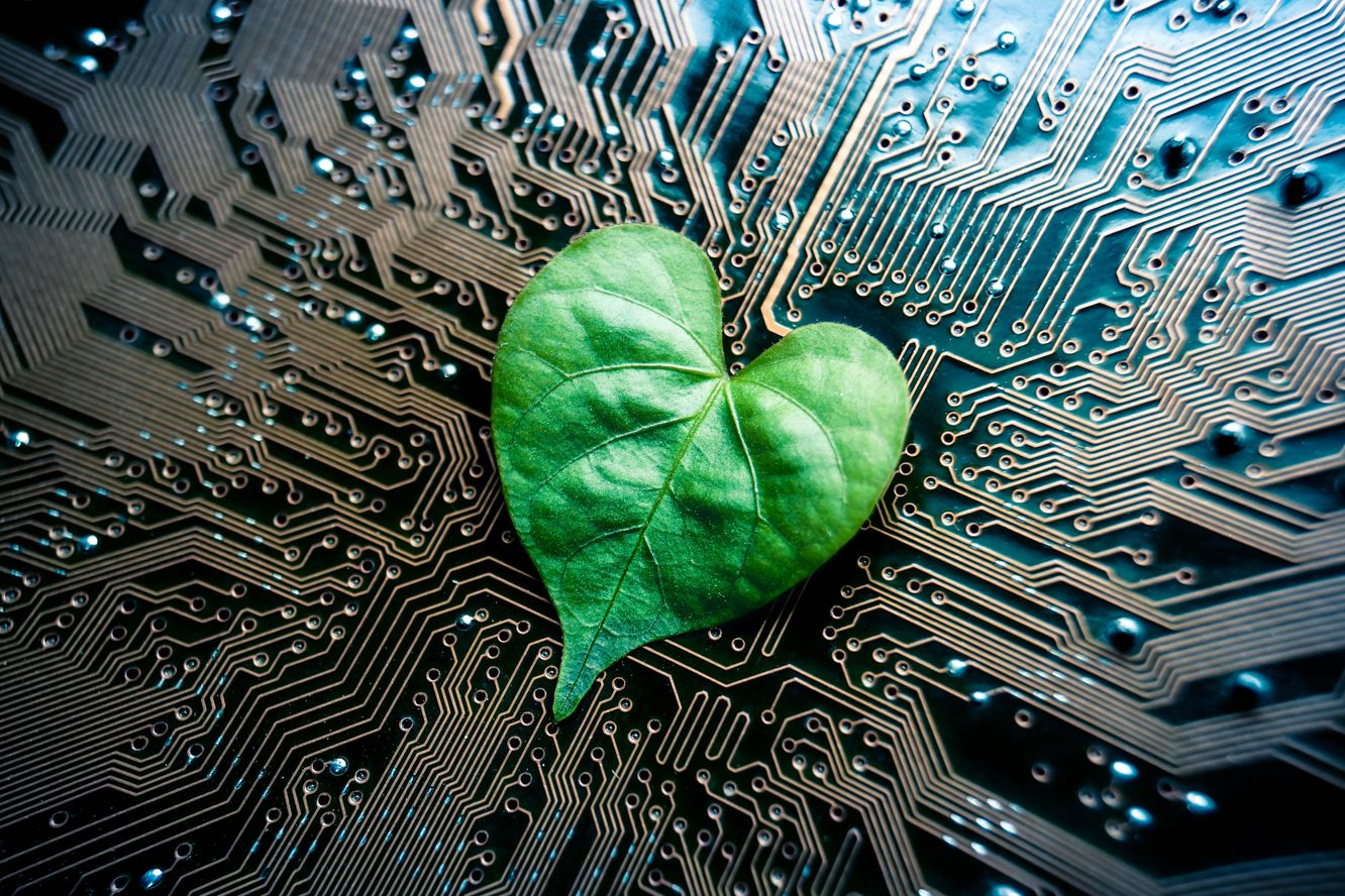 Fondos de inversion megatendencias imagen hoja verde en ordenador