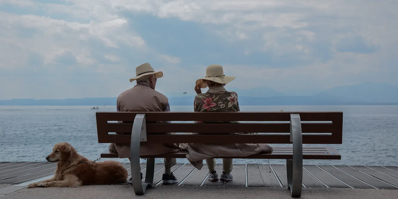 pension_contributiva_pension_no_contributiva_finect