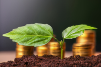 Bonos verdes: cómo funcionan y 3 fondos para invertir en ellos