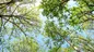 Nordea Asset Management celebra el tercer aniversario del Fondo  Nordea 1 - Global Climate Transition Engagement 