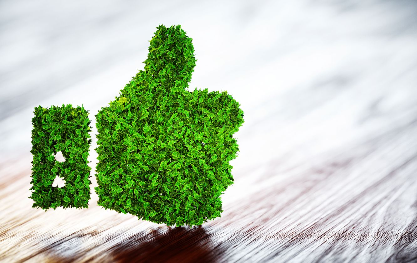 Andbank ESG imagen mano de facebook hecha de hojas verdes
