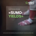 Instantánea semanal: «Sumo yields» 