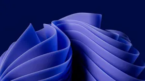 Más allá del mito: argumentos a favor de la inversión en mercados emergentes