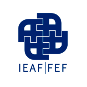 Instituto Español de Analistas Financieros (IEAF- FEF)
