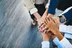 BBVA Asset Management anuncia los 25 proyectos ganadores de su convocatoria BBVA Futuro 2025