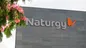 CVC sigue los pasos de BlackRock y vende su 13,8% en Naturgy por 3.821 millones