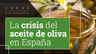 ¿Por qué sube tanto el precio del aceite de oliva en España?