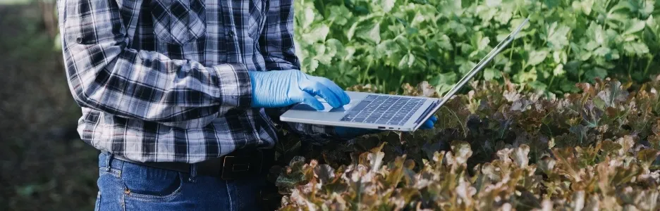 Empresas sostenibles: innovación y compromiso ambiental