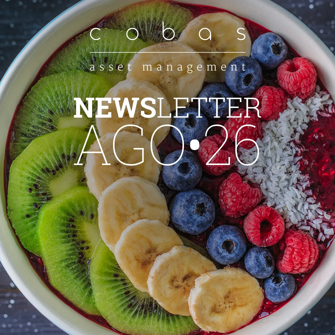 Ya está disponible nuestra Newsletter del mes de Agosto