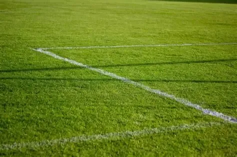 El deporte salta al parqué: de hobby a oportunidad de inversión
