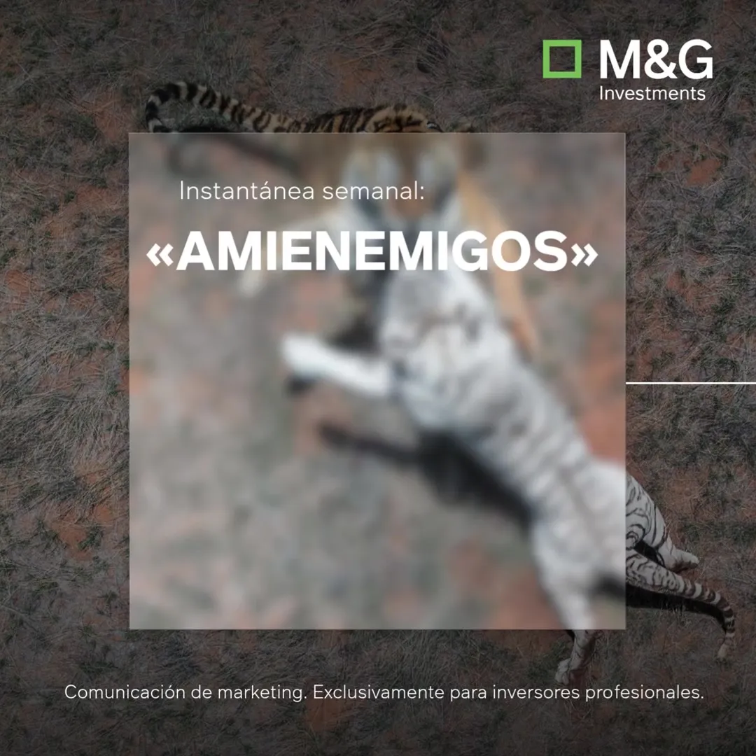 Instantánea semanal: «amienemigos»